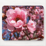 Flowering Plum mousepads
