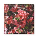 Flowering Quince-Five Fridge Magnet