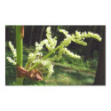 Flowering Rhubarb Stalks stickers