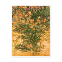 Flowering Shrubs, Vincent van Gogh Post Card