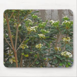 Flowering Tree Branches Mousepad