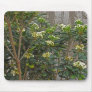 Flowering Tree Branches Mousepad