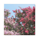 flowering trees magnets