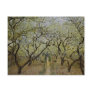 Flowering Trees Post Cards