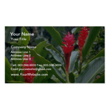 Flowering vegetation, Tahiti flowers Business Card Templates