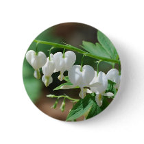 Flowering White Bleeding Heart Button