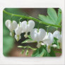 Flowering White Bleeding Heart Mouse Pad