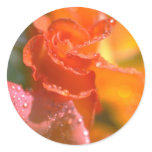 Flowers 166 stickers