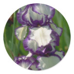 Flowers 253 stickers