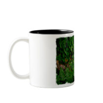 Flowers amongst Leaves mugs