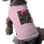 Flowers and Cabbages Pet Tee Shirt