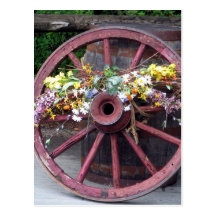 Flowers and Wagon Wheel Post Cards