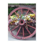 Flowers and Wagon Wheel Post Cards