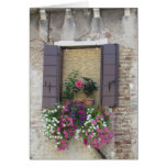 Flowers and Windowsill in Venice, Italy Cards