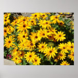 Flowers at the Chapel Poster