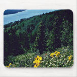 Flowers At Two Medicine Lake - Glacier National Pa Mouse Pads