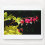 Flowers :-) Bleeding hearts Mouse Pads
