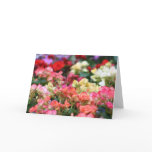Flowers Bloom in Ginza Cards