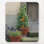 Flowers by doorway mouse pads