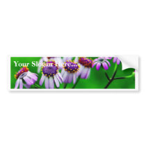 Flowers Daisies Daisy Bumper Sticker