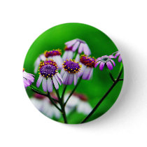Flowers Daisies Daisy Buttons