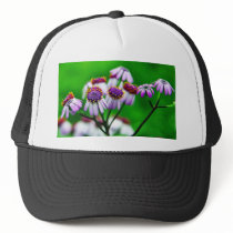 Flowers Daisies Daisy Trucker Hats