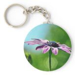 Flowers Daisies Daisy Petals Key Chain