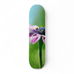 Flowers Daisies Daisy Petals skateboards