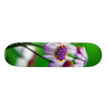 Flowers Daisies Daisy Skate Decks