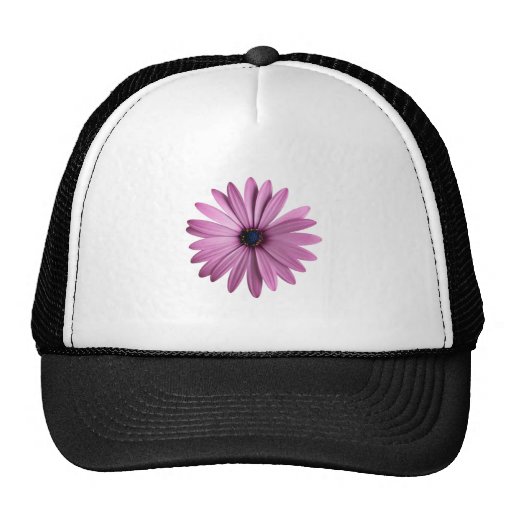 Flowers: Daisy Trucker Hats