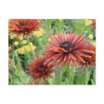 Flowers for All Postcard
