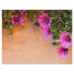 Flowers frame flyers