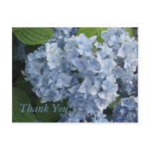 Flowers (Hydrangeas) Postcard