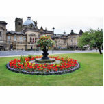 Flowers In Blossom In Front Of Turkish Baths In Ha photo sculptures
