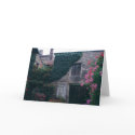 Flowers in France cards