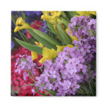 Flowers in Multiple Colours magnets