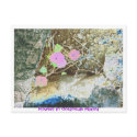 Flowers in Oceanside Marina postcards