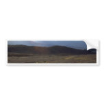 Flowers in the Death Valley Bumper Stickers