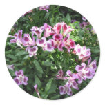 flowers in the garden round stickers