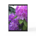 Flowers in the Neighbourhood Card