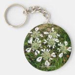 Flowers in the Ripertoli Vineyard, Tuscany Key Chain