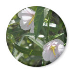 Flowers in the Shadows Magnets
