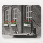 flowers in the window mousepads