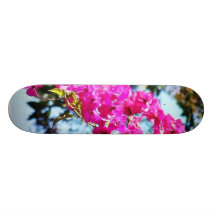 Flowers Lamps Posts Lights Skateboards