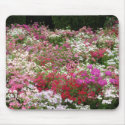 Flowers mousepads