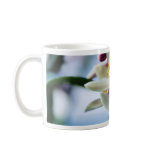 Flowers Myer Lemons Trees mugs