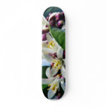 Flowers Myer Lemons Trees skateboards