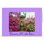 Flowers of Costa Rica 01 a Cards