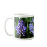 Flowers of Costa Rica - Blue mugs