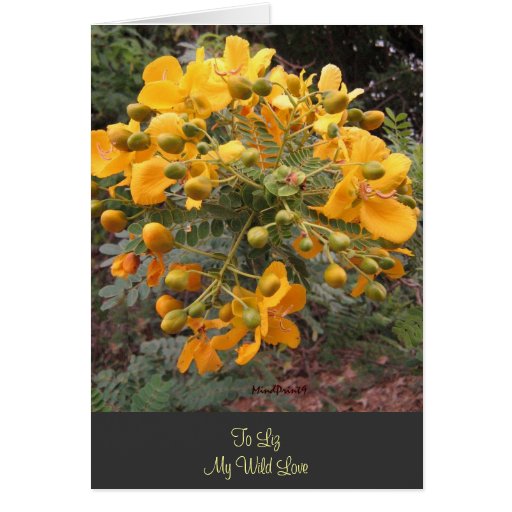 Flowers of Joy Greeting Cards